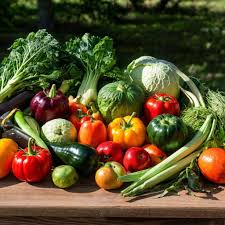 การเคลื่อนไหวอย่างอิสระ